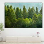 Lush Green Pine Trees Wall Art