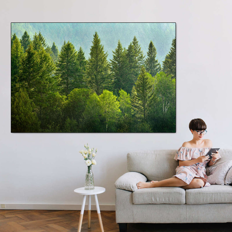 Lush Green Pine Trees Wall Art