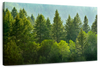 Lush Green Pine Trees Wall Art