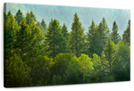 Lush Green Pine Trees Wall Art