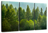 Lush Green Pine Trees Wall Art