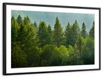 Lush Green Pine Trees Wall Art