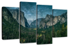 Yosemite Stunning Stars Wall Art