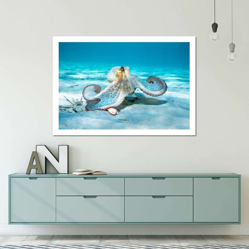 Roaming Octopus Wall Art
