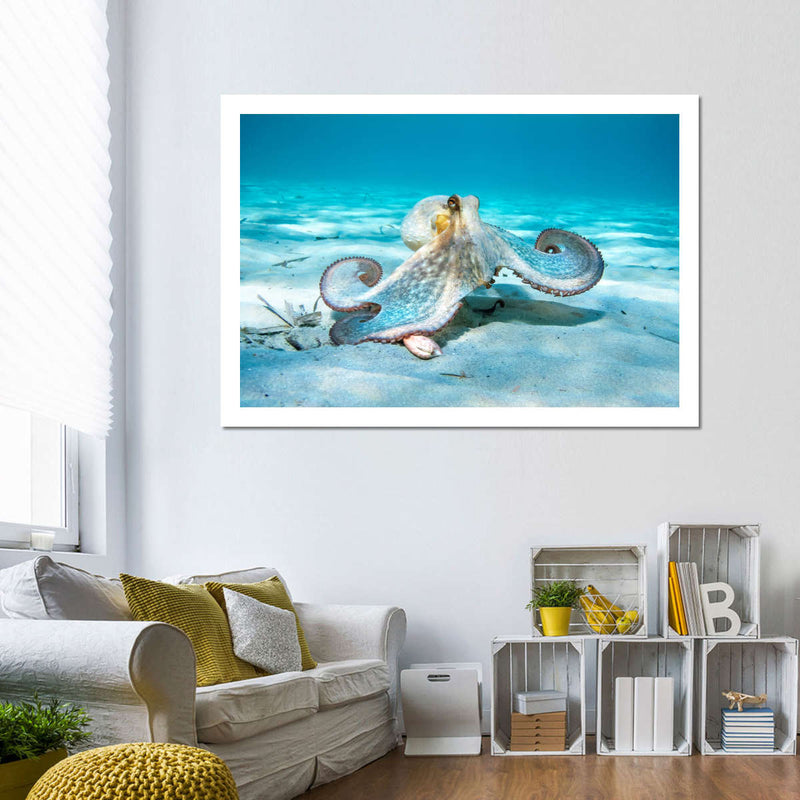 Roaming Octopus Wall Art