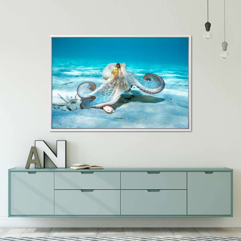 Roaming Octopus Wall Art