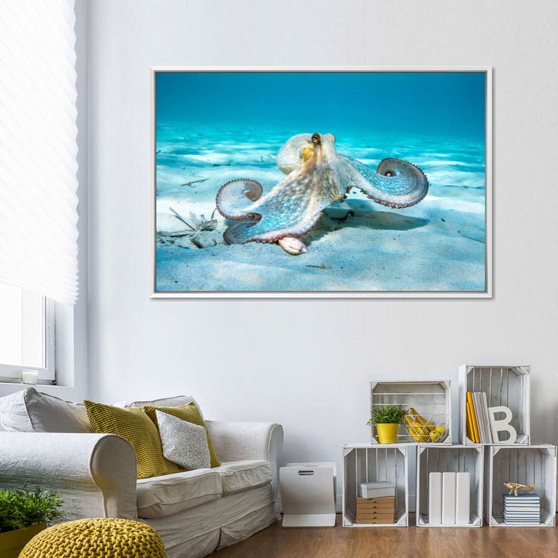 Roaming Octopus Wall Art