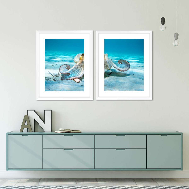Roaming Octopus Wall Art