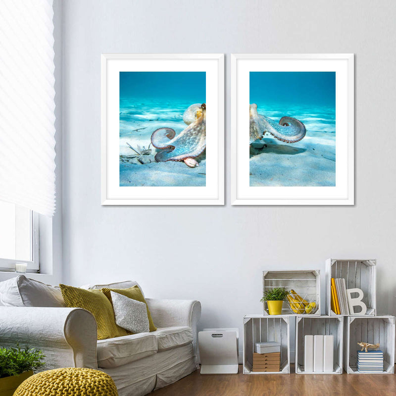 Roaming Octopus Wall Art