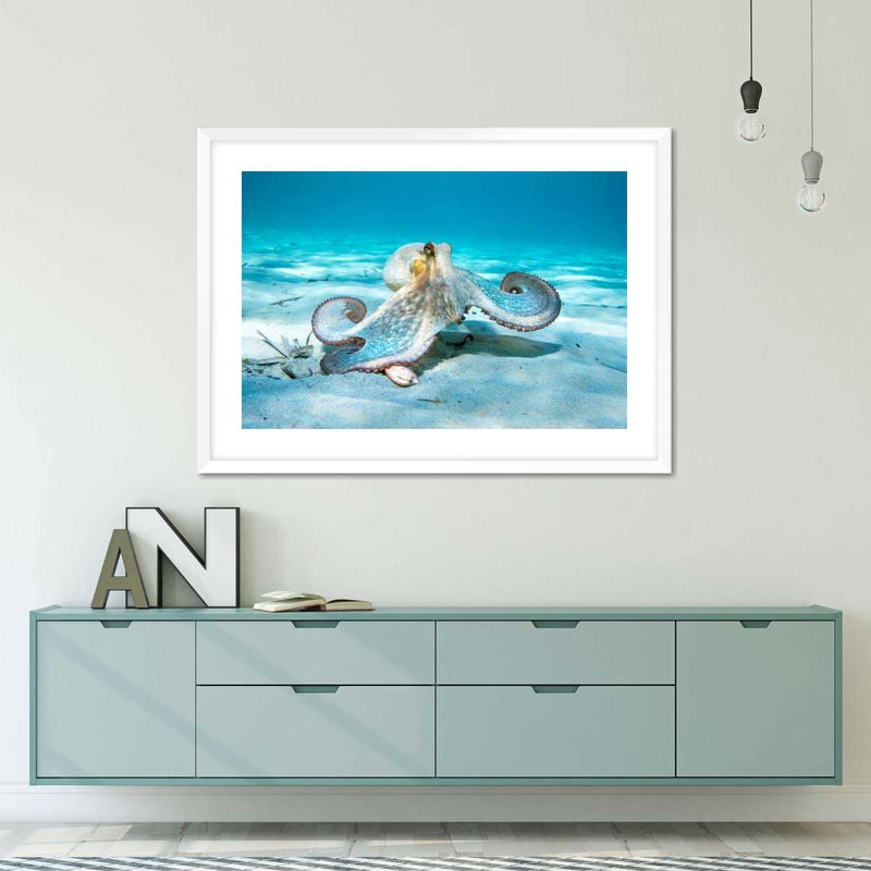 Roaming Octopus Wall Art
