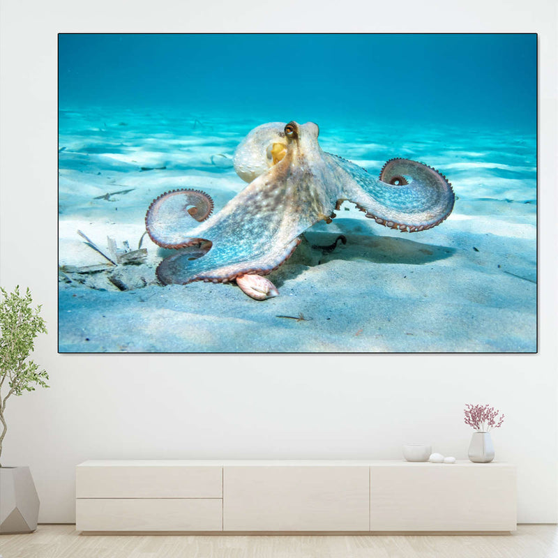 Roaming Octopus Wall Art