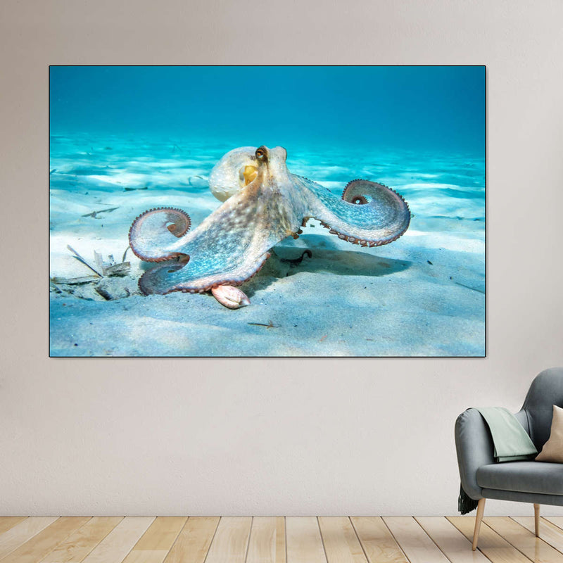 Roaming Octopus Wall Art