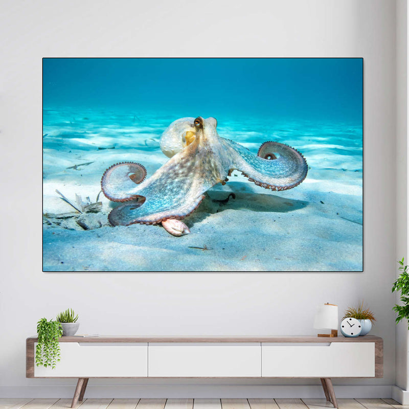 Roaming Octopus Wall Art