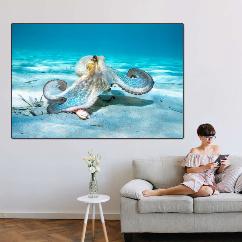 Roaming Octopus Wall Art