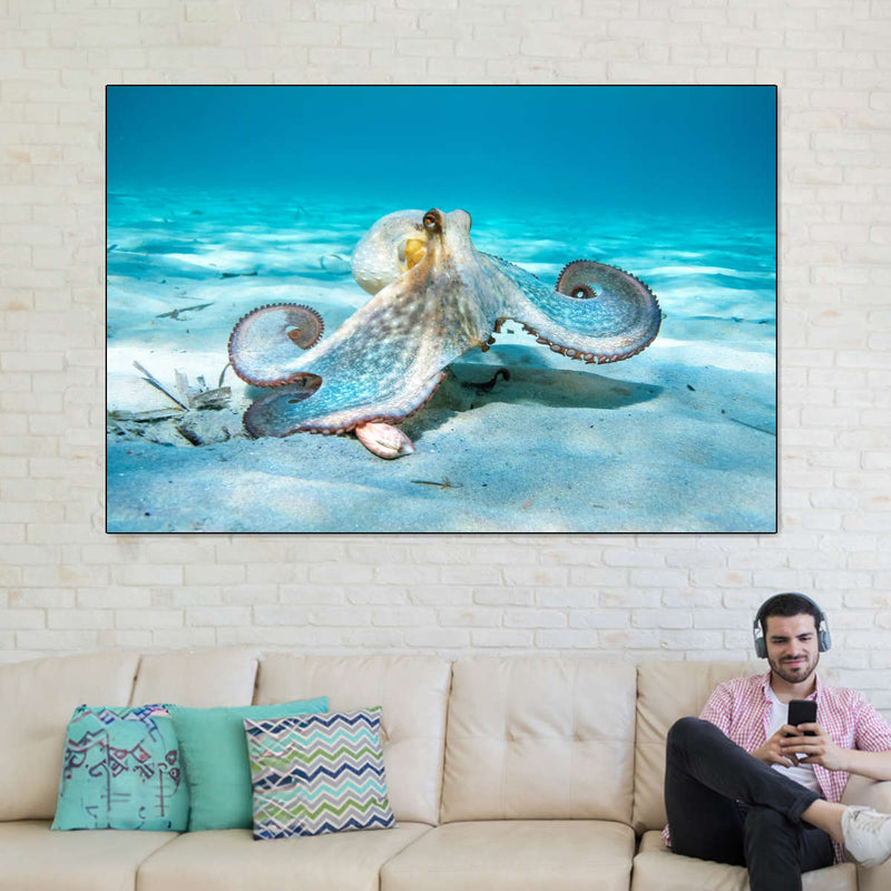 Roaming Octopus Wall Art