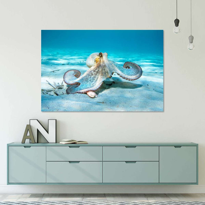 Roaming Octopus Wall Art