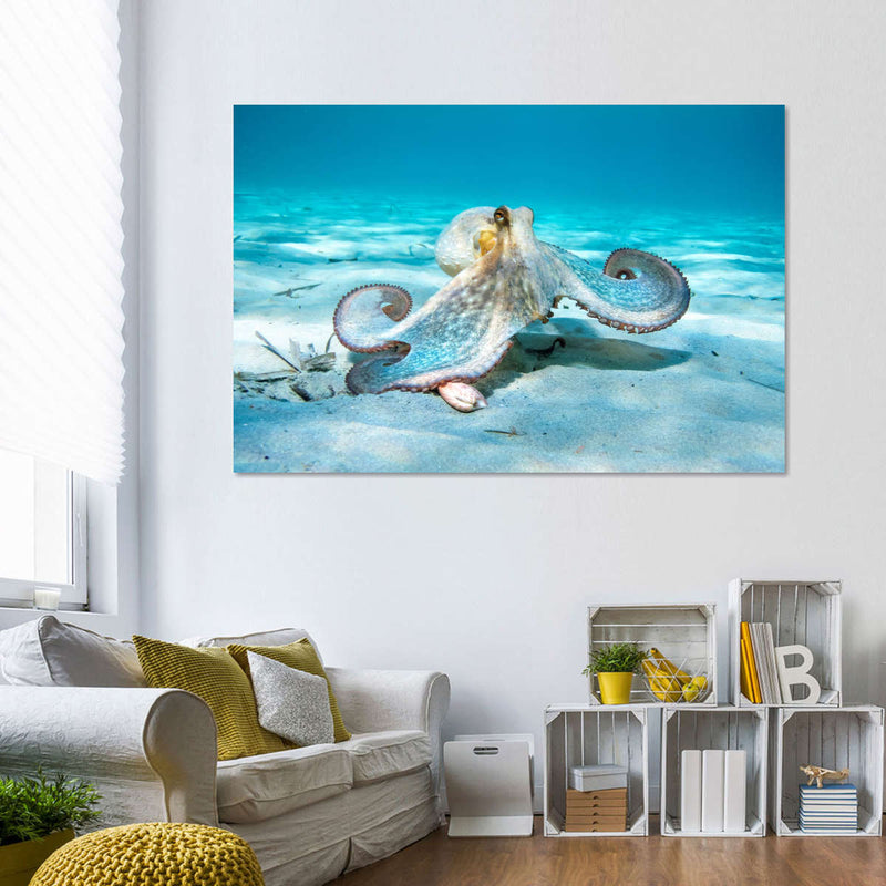 Roaming Octopus Wall Art