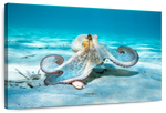 Roaming Octopus Wall Art