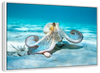 Roaming Octopus Wall Art