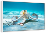Roaming Octopus Wall Art