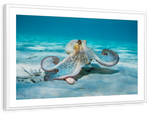 Roaming Octopus Wall Art