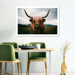 Open Field Highland Cow Wall Art