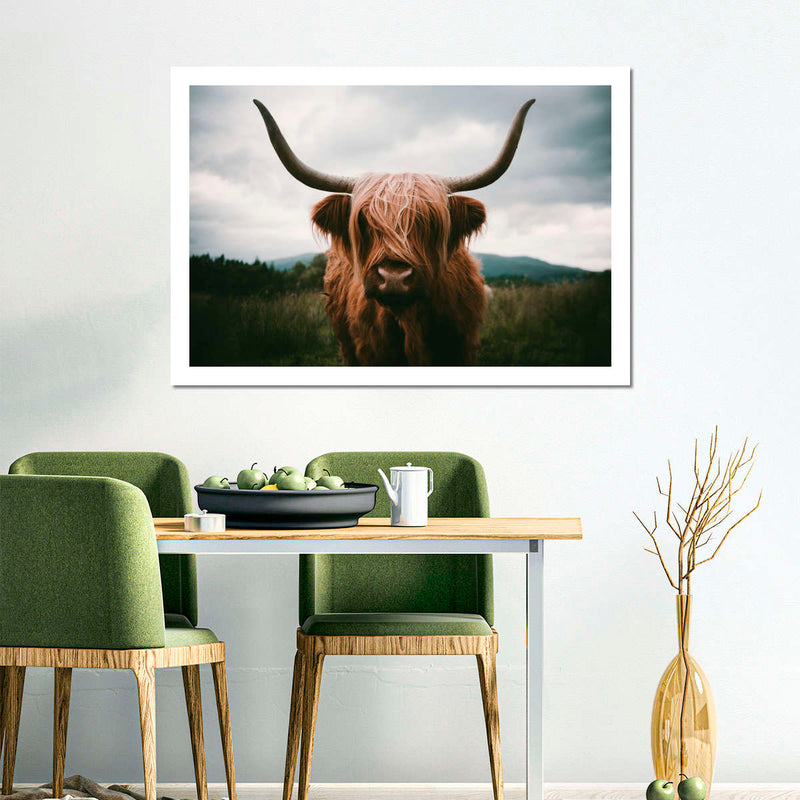 Open Field Highland Cow Wall Art
