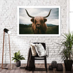 Open Field Highland Cow Wall Art