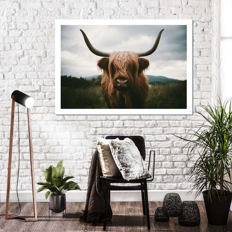 Open Field Highland Cow Wall Art