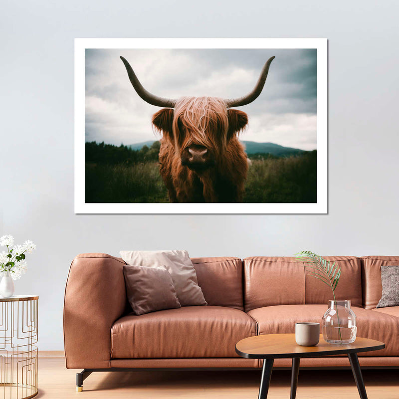Open Field Highland Cow Wall Art