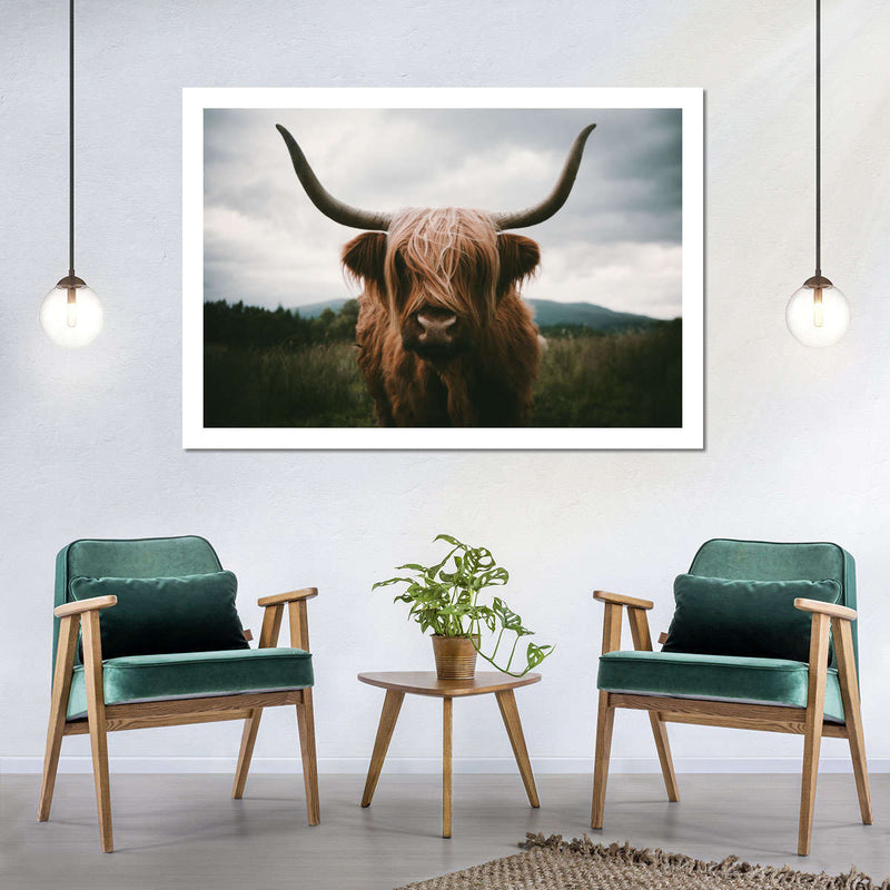Open Field Highland Cow Wall Art