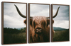 Open Field Highland Cow Wall Art