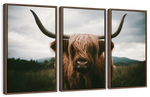Open Field Highland Cow Wall Art