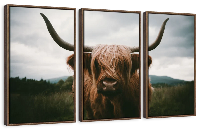 Open Field Highland Cow Wall Art
