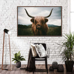 Open Field Highland Cow Wall Art
