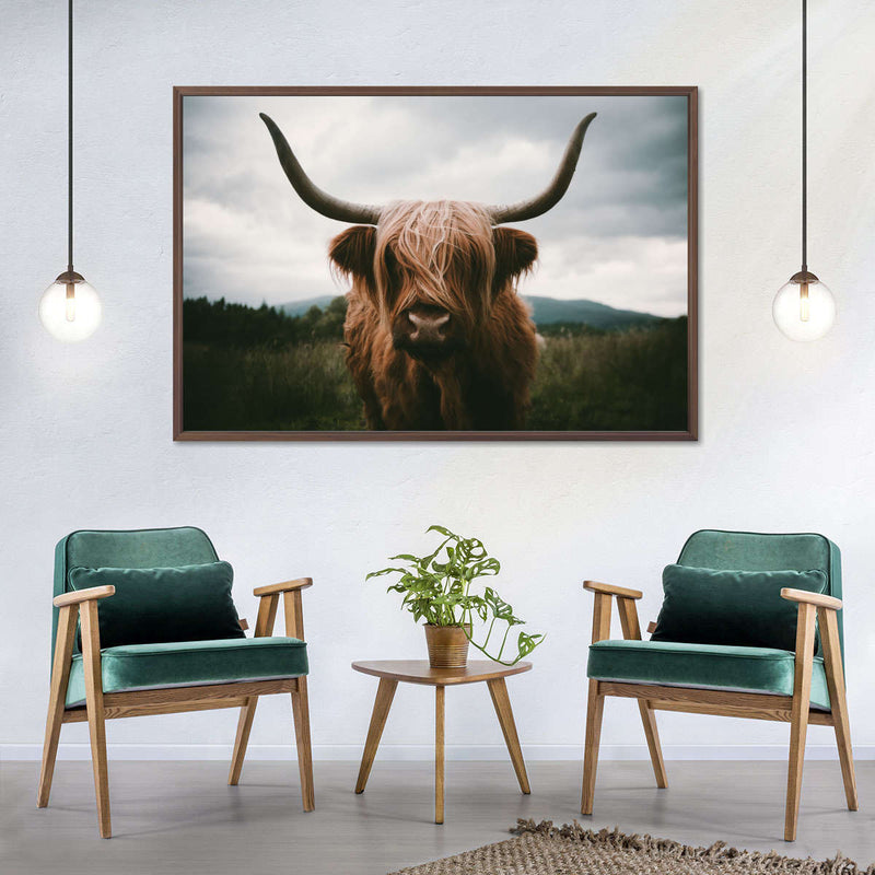 Open Field Highland Cow Wall Art