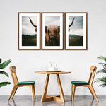 Open Field Highland Cow Wall Art