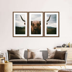 Open Field Highland Cow Wall Art