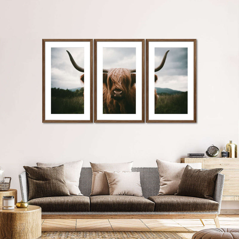 Open Field Highland Cow Wall Art