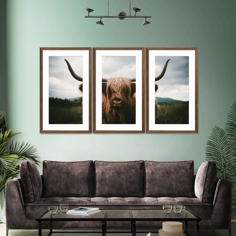 Open Field Highland Cow Wall Art