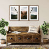 Open Field Highland Cow Wall Art