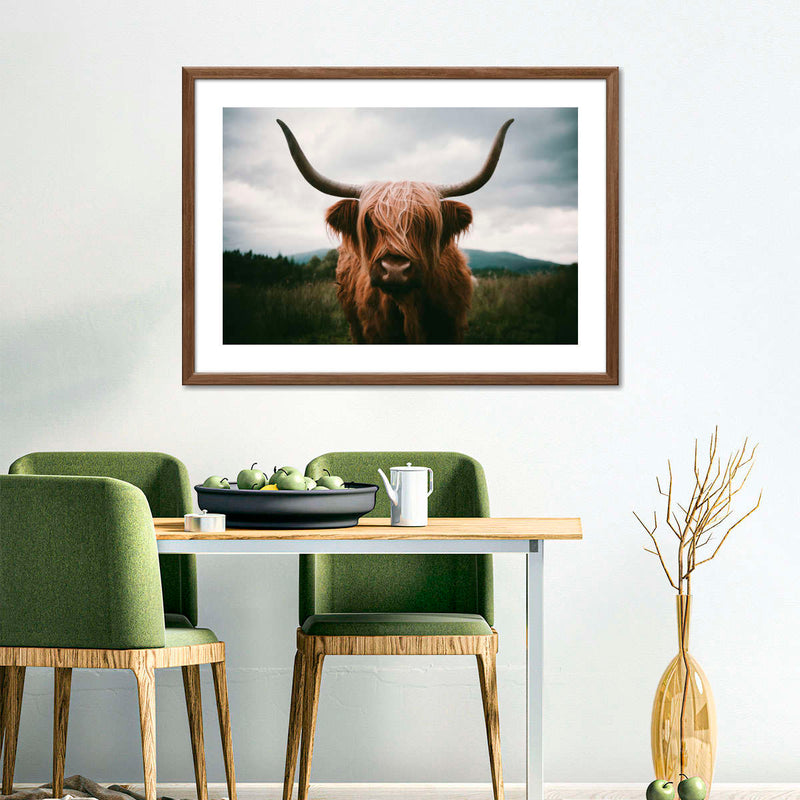 Open Field Highland Cow Wall Art