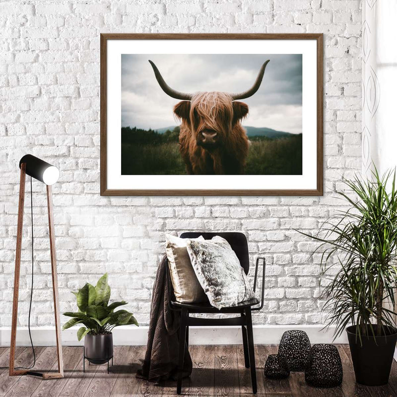 Open Field Highland Cow Wall Art