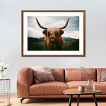 Open Field Highland Cow Wall Art