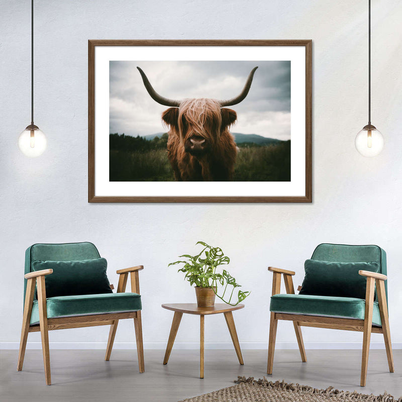 Open Field Highland Cow Wall Art