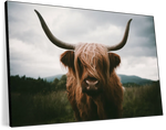 Open Field Highland Cow Wall Art
