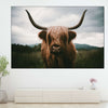 Open Field Highland Cow Wall Art