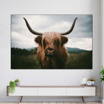 Open Field Highland Cow Wall Art