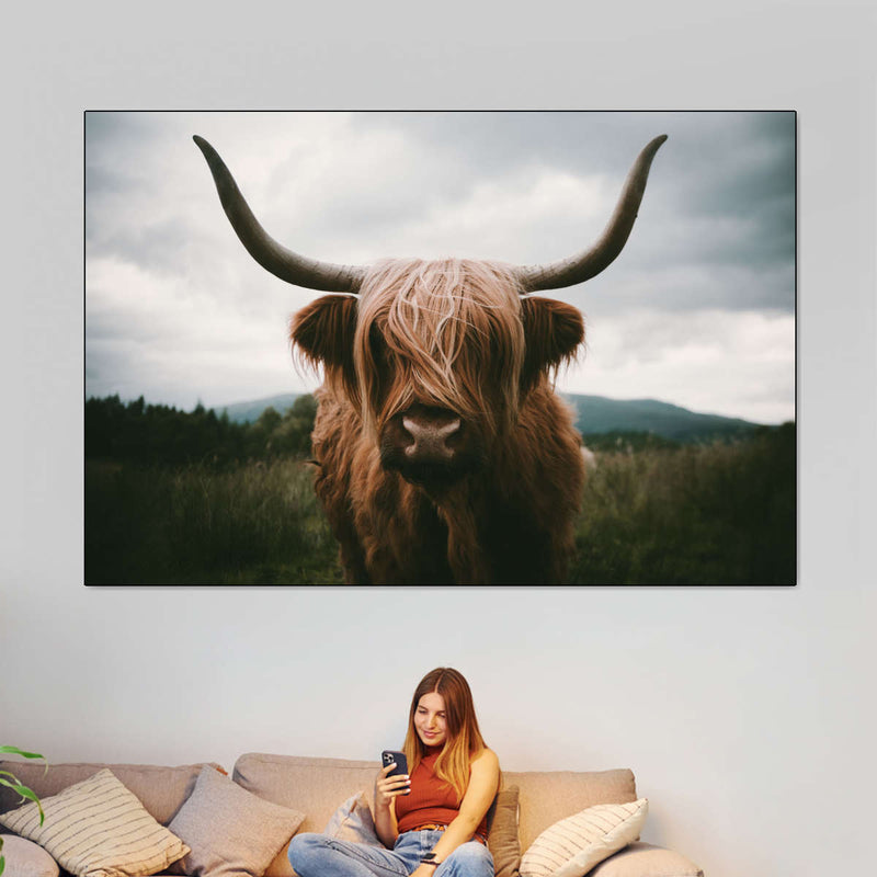 Open Field Highland Cow Wall Art