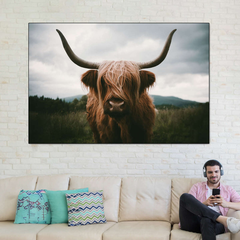 Open Field Highland Cow Wall Art